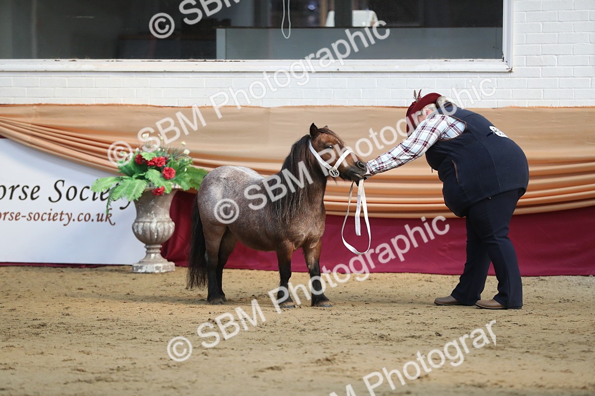 SBM_01364 - Class 3a Area IH Pre Vet