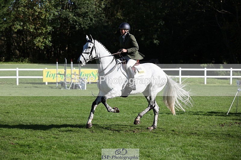 231022-111959-25109 - 624-CORRIEVIEW.OSCAR-Jane.Rogers-TrotUp+SJ