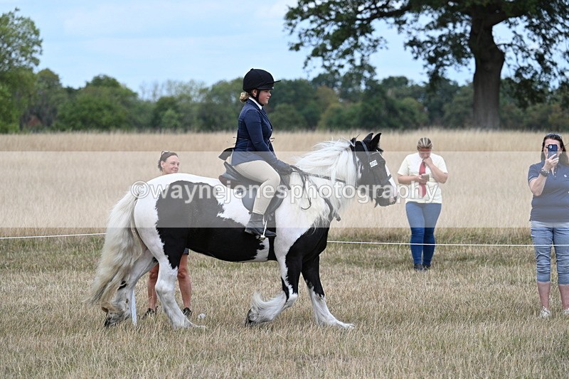 WJ7_4804 - Class 12 Ridden Cob