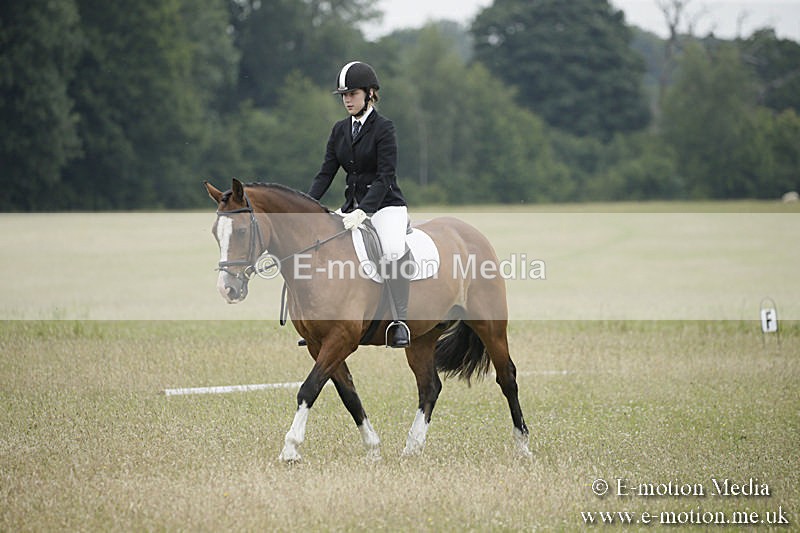 B230619-0662 - Bourne Valley Riding Club Summer Show 23/06/19