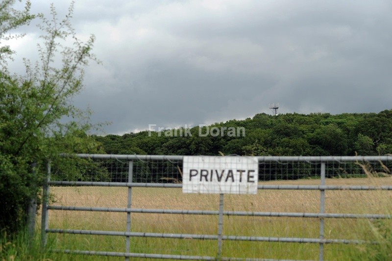 Essex Countryside - Frank Doran