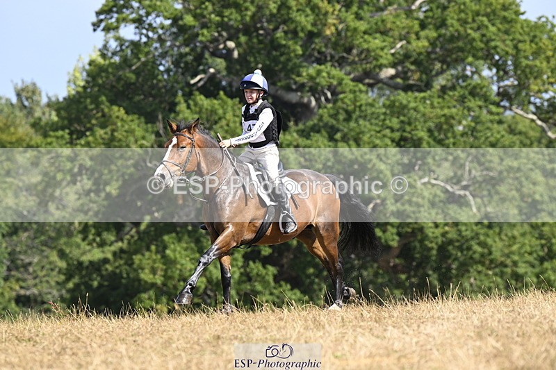 250824A-145229-38842 - 2147-George.Walford-meadow.sweet.conker