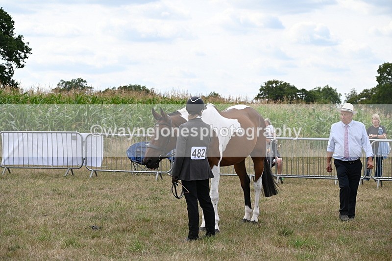 WJ6_6059 - Class 19 In-hand Veterans (Uploaded correct folder)