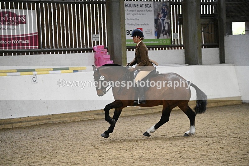 WJ7_4032 - Class 17 Ridden Cob