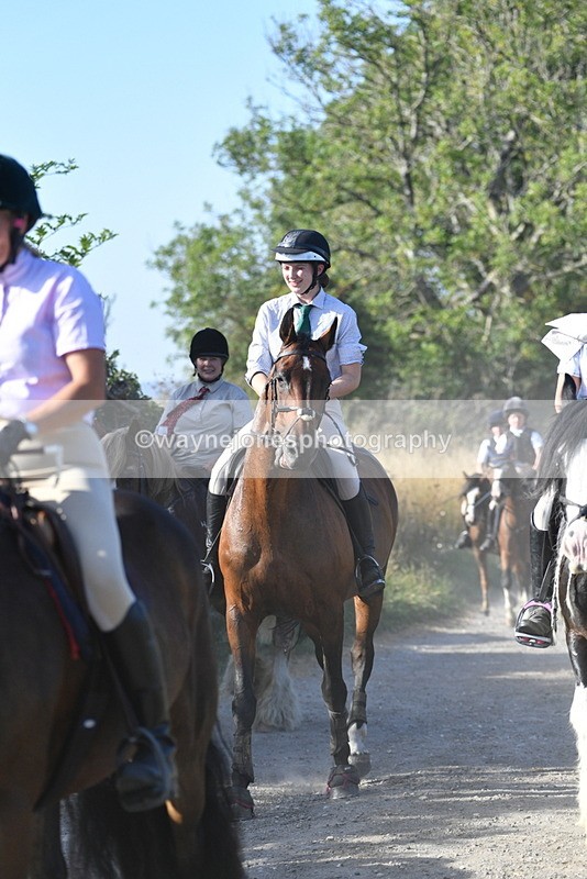 WJ5_4929 - Walk out with the hounds