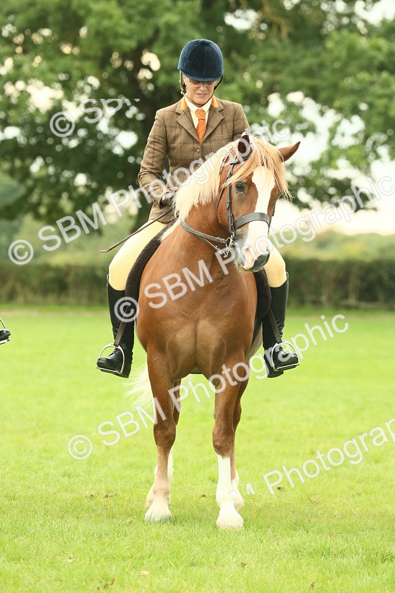 SBM_72193 - S60 - Mountain & Moorland Ridden Large Breeds