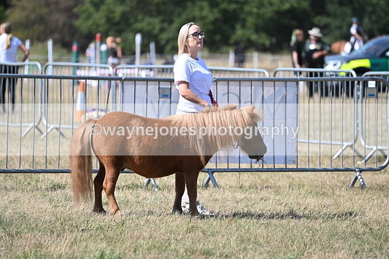 WJ6_9125 - Championship Classes 33-38