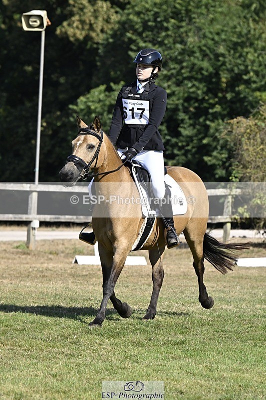 250822A-102641-20237 - DR 10.00 to 11.00