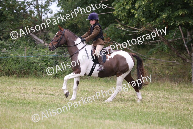 20260614-3074 - Class 22 - Open Working Hunter