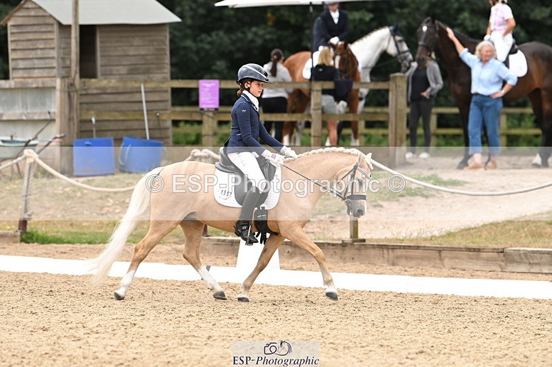 250808A-114154-00669 - 155-Rose.Cassapi-Westfirle.Golden.Oriole