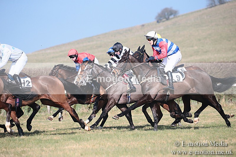 PtP 230219 237 - Vine & Craven Point-To-Point - Barbury 23/02/19