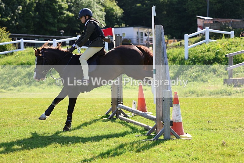 3E7A5943 - Class 27: Novice Working Hunter Pony