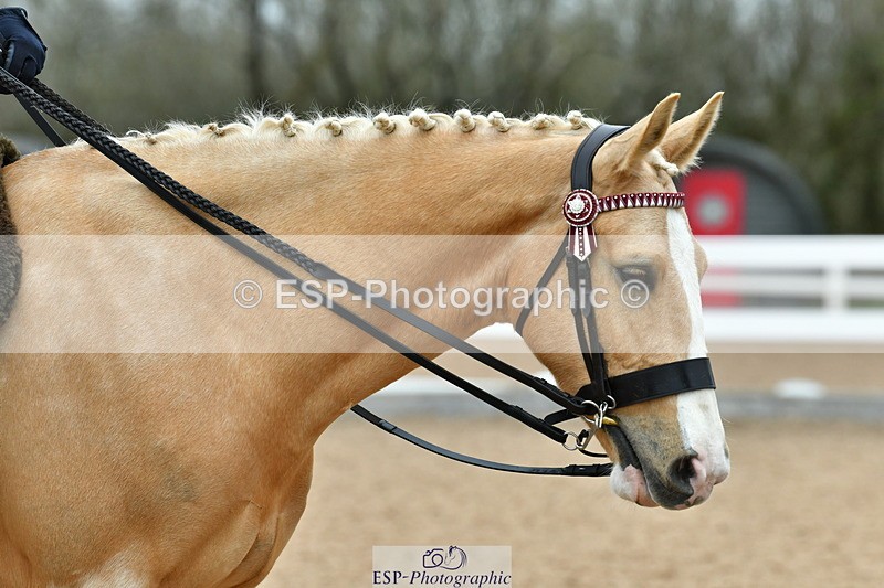 230416A-105302-03595 - Cls 58 Ridden Gelding