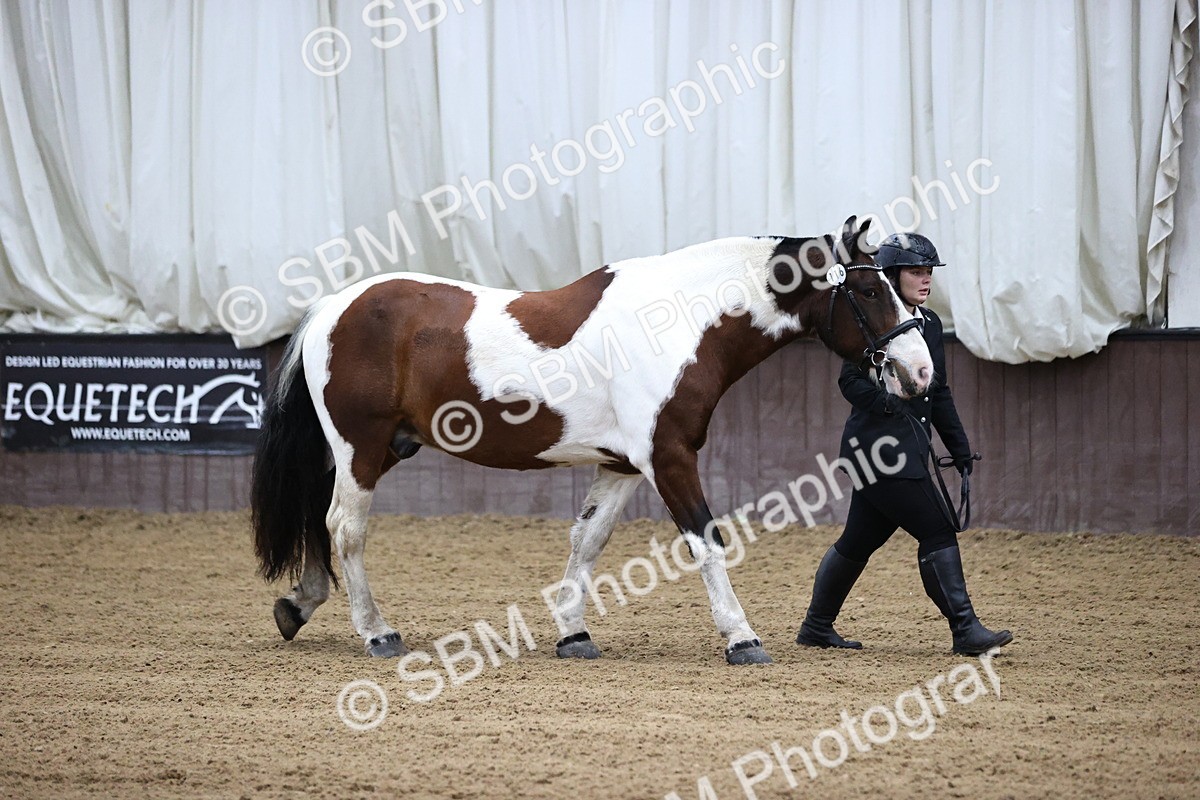SBM_5245 - Class 32 - In Hand Cob Type
