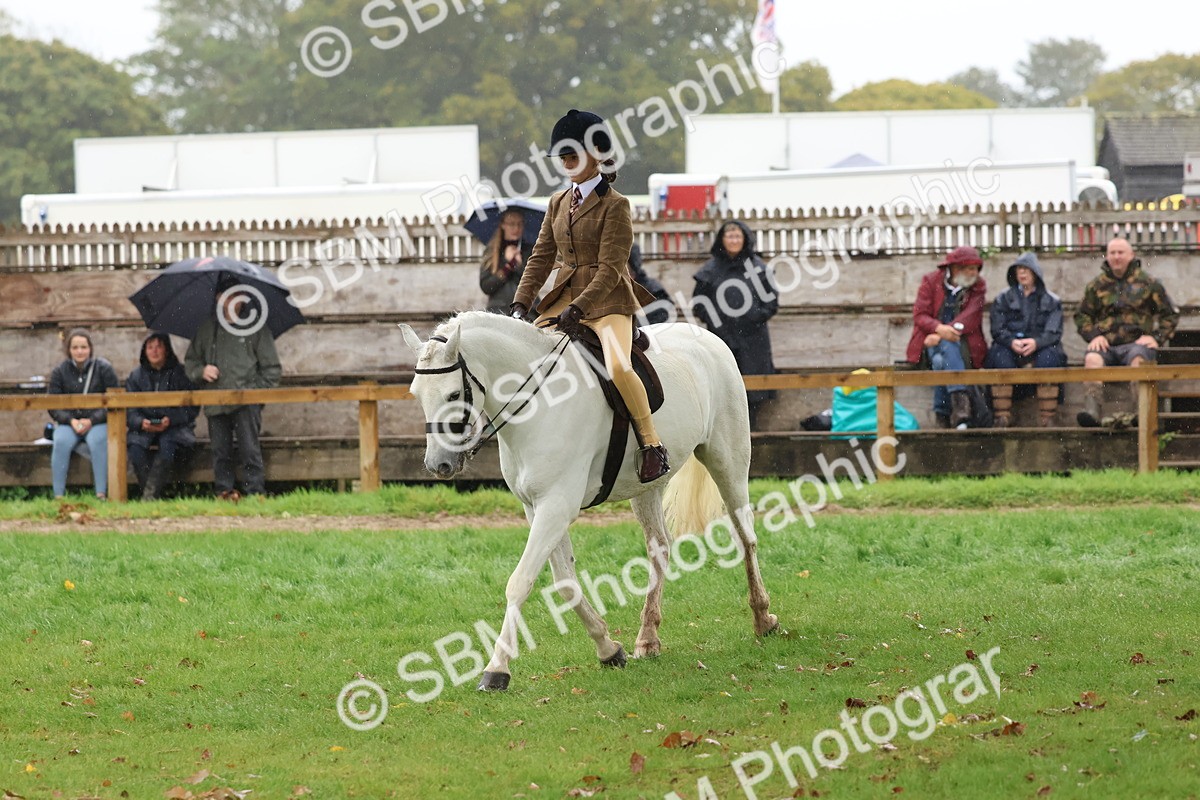 SBM_73045 - S63 Show Pony & Show Hunter Pony Ridden