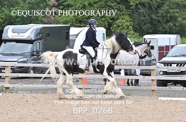 BPP_0268 - 31 E WYLLIE