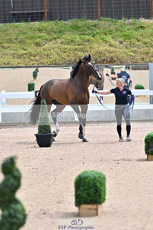 240718A-105236-00872 - Trot Up 11am to 12pm