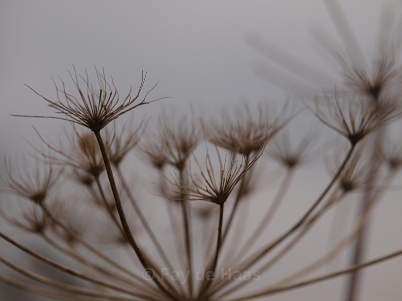  - Tranquility