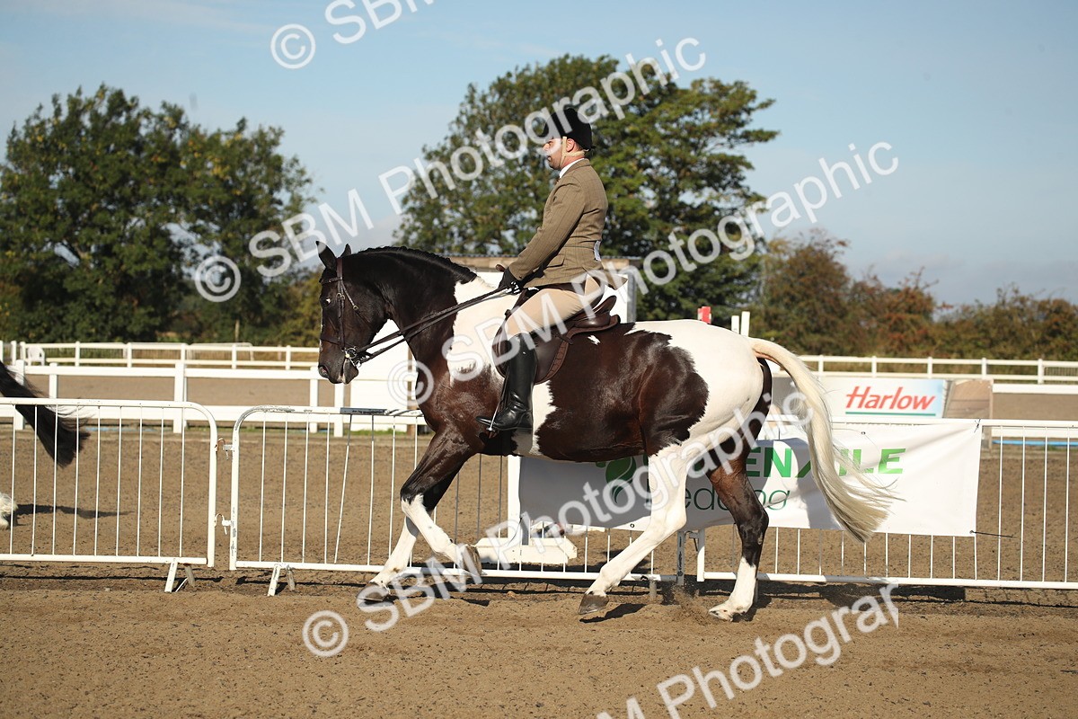 SBM_11326 - Class 501 -Riding Club Pony