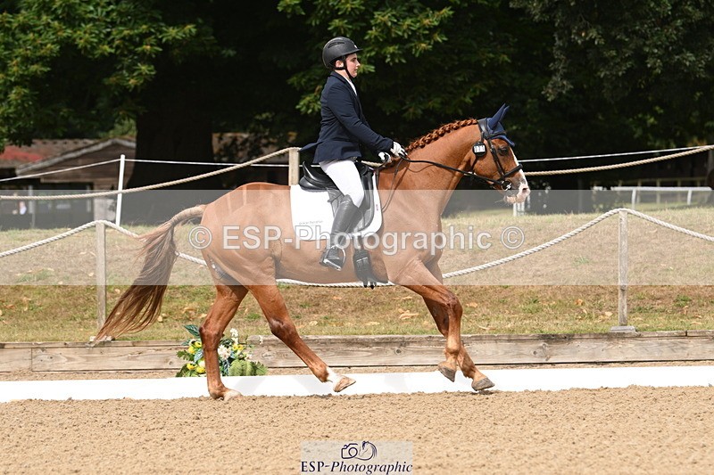 250720A-101435-09468 - 071-Jesse.Poyntz-Wright-Knockaderry.Jack