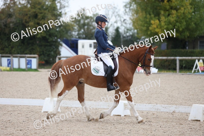 20251011-0361 - Class 3 - Prelim 2