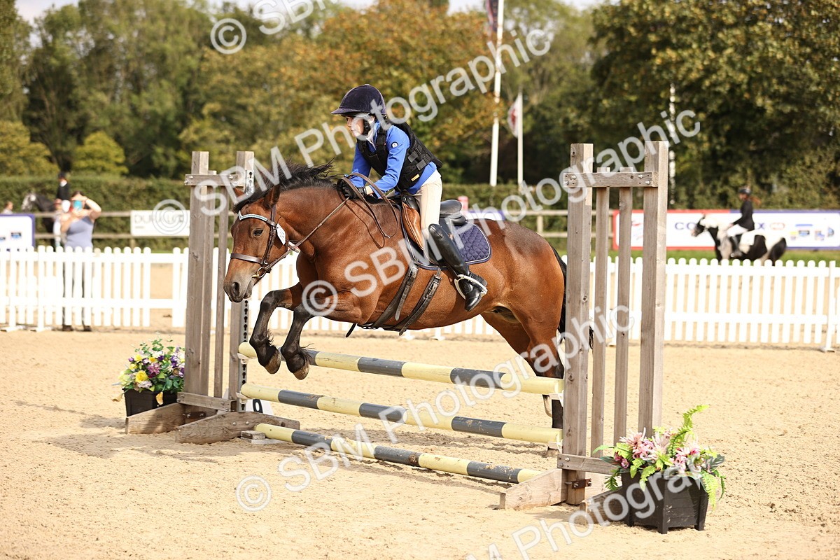 SBM_69613 - J13 - Junior Pony 60cm Championship