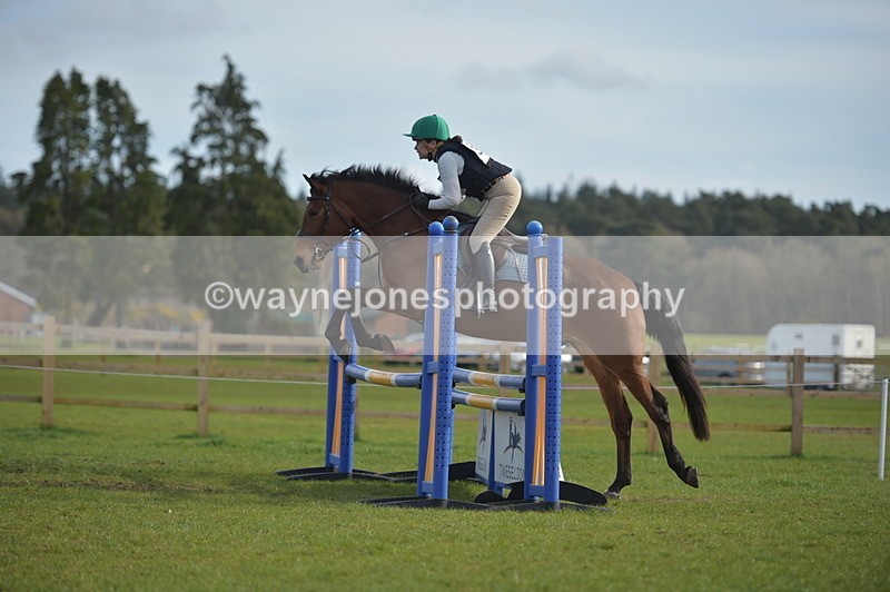 NGP_3374 - Time 15:12 to 15:46