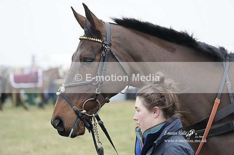PtP 040323 635 - Duke of Beauforts Hunt Point-to-Point Didmarton 04/03/23