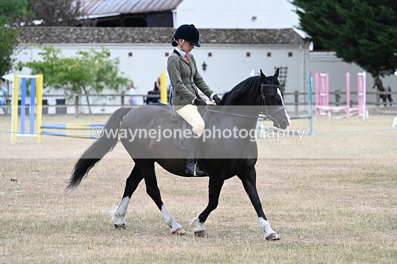WJ7_0492 - Class 6 Ridden Mountain and Moorland