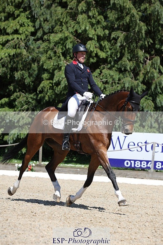 230526-144816-06551 - 375-FINLEY_DU_LOIR-Oliver_Townend-WEDTrotUp+DR