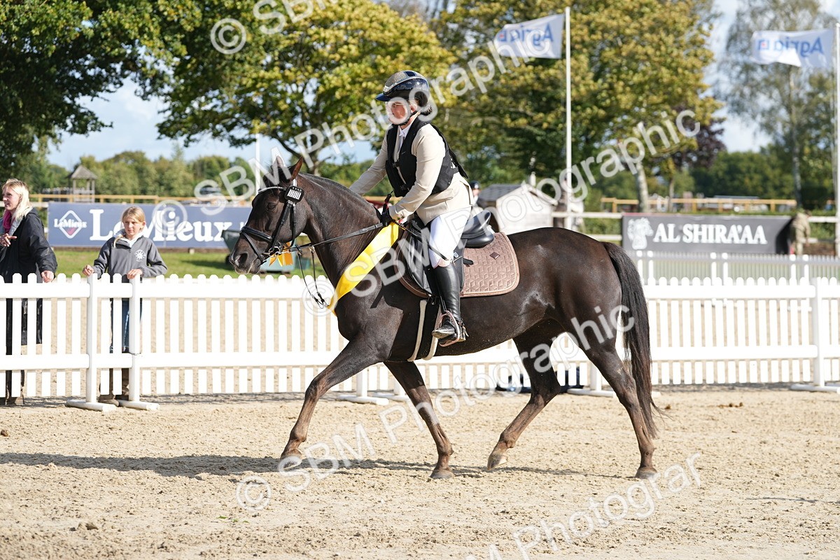 SBM_48645 - J7 - Junior Pony 60cm Championship
