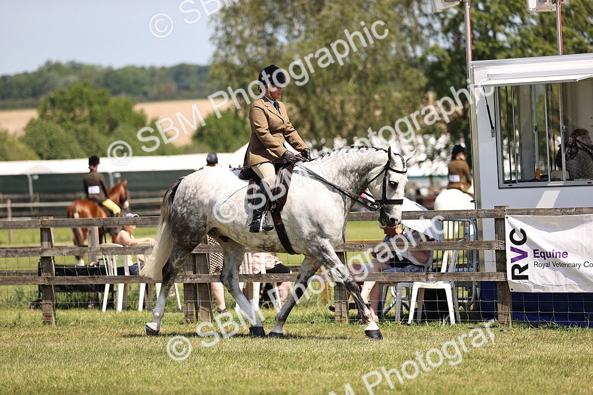 SBM_15023 - Class 79-80 - LIHS BSHA Rising Star Ridden Hunter