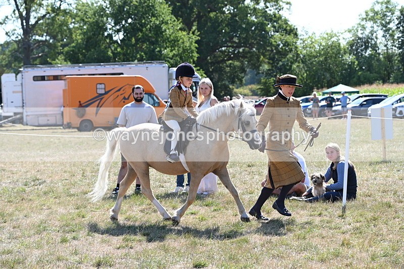 WJ6_7751 - Class 36 Lead Rein
