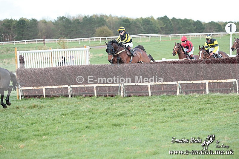 PtP 230324 810 - Tedworth Hunt PtP Larkhill Raccourse 23rd March 2024