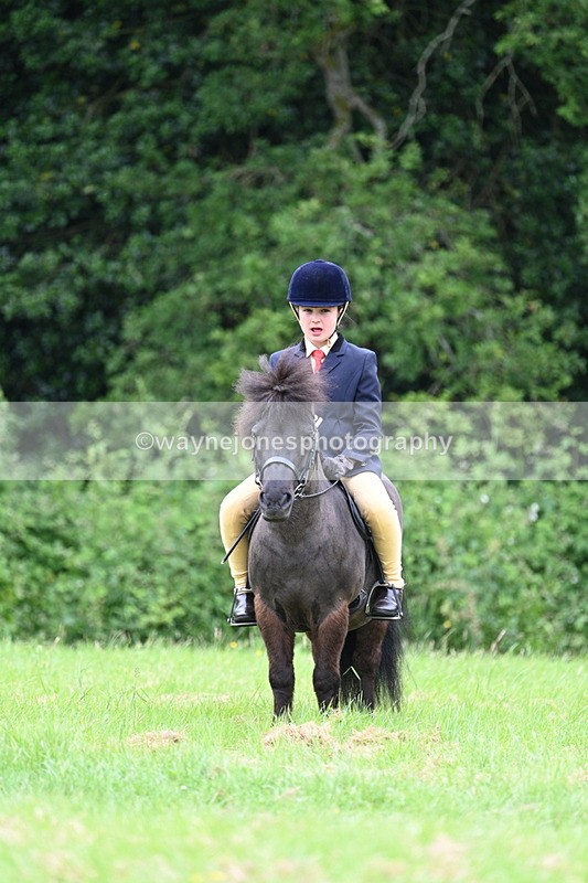 WJ7_3757 - Class 14A Handsome Gelding