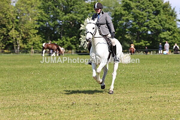 IMG_4186 - Working Hunter