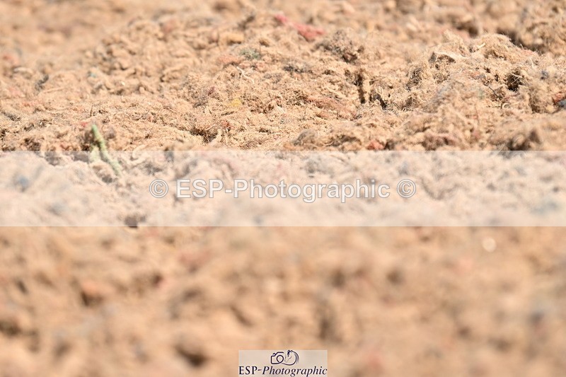 240621A-105432-01468 - Cls 4 BD Novice 22