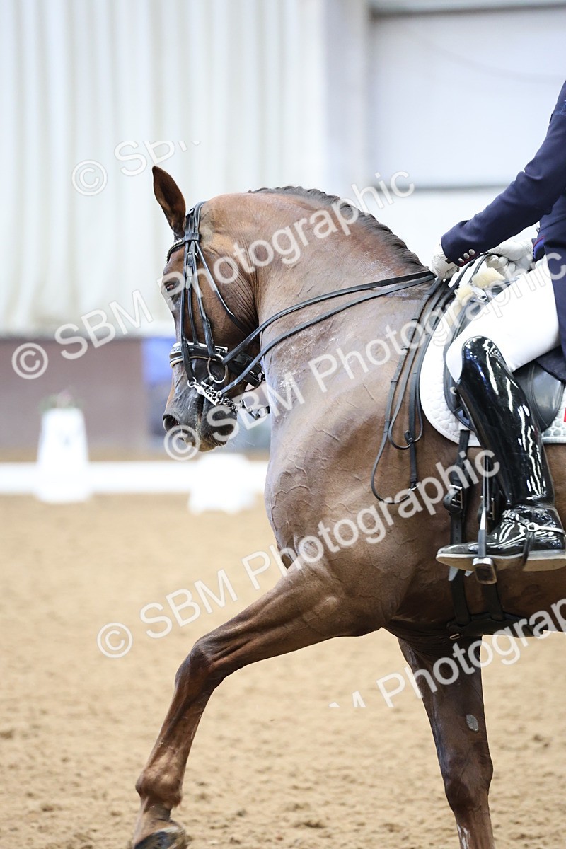 SBM_004810 - Class 9 - FEI Inter 1 Gold - 16.59-17.47