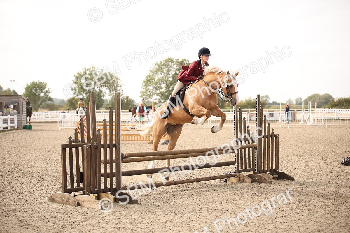 SBM_17251 - Class 410a - Wor5king Veteran 90cm (15-19)