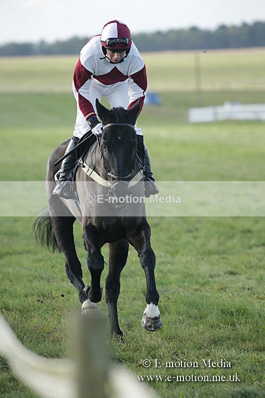 PtP 011219-0131 - Hursley Hambledon Hunt Point-to-Point 01/12/19