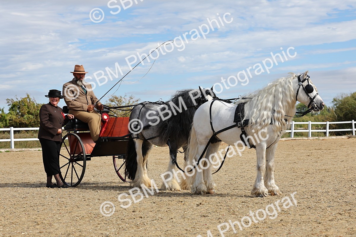 SBM_001250 - Class 16 - Pairs ,Multiples and Tandems