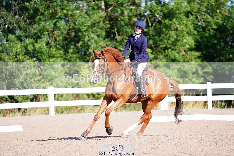240809A-090436-00144 - Dressage Competition