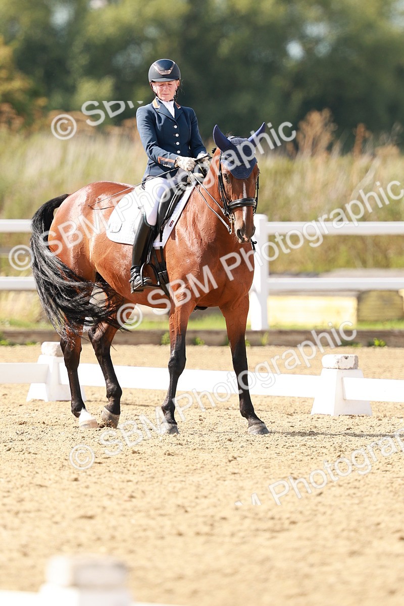 SBM_002511 - Class 11 - Medium 6