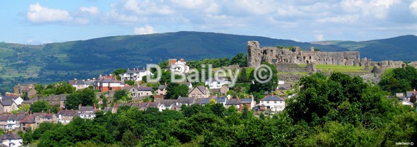 Denbigh Castle 3 - Castles