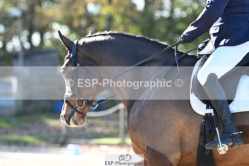 231110-120551-00577 - Cls 3 Novice 22