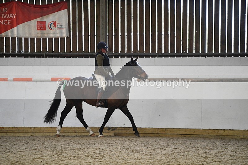WJ5_7958 - Class 13 Ridden Part Breed