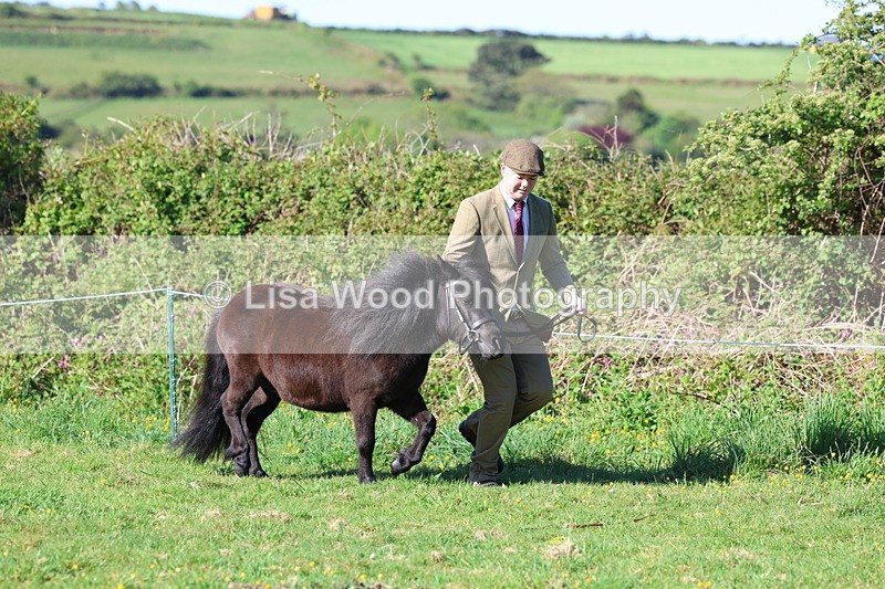 3E7A8337 - Class 12: M & M Small Breeds