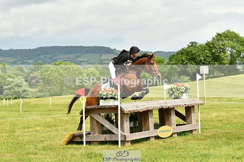 250524A-145835-13821 - C-216-Harrison.Chart-MY.KIND.OF.LADY