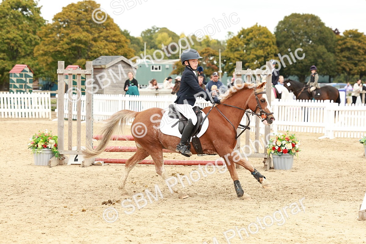 SBM_63587 - J12 - Junior Pony 55cm Championship