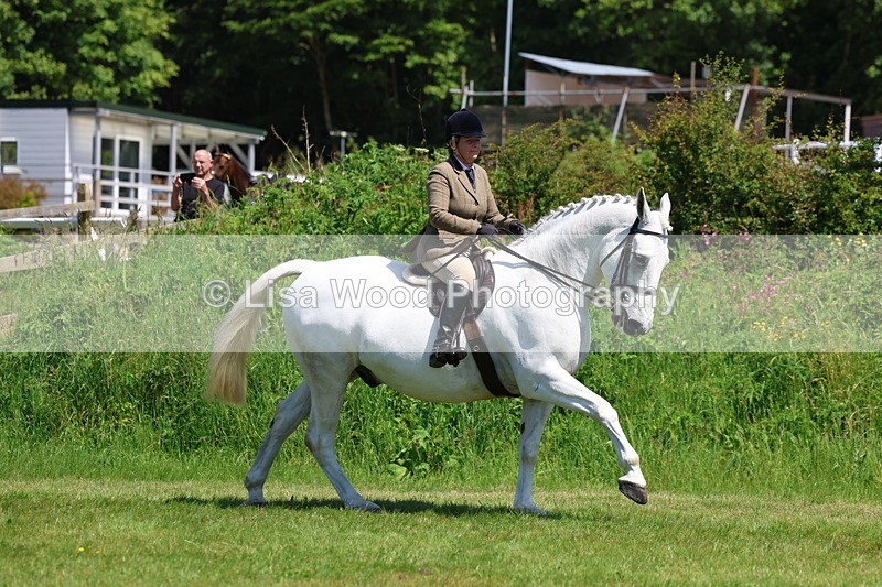 3E7A8294 - Class 13: Ridden Hunter